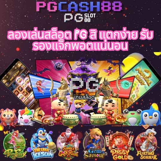 cat888 login